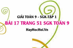 Giải bài 17 trang 51 SGK Toán 9 tập 1